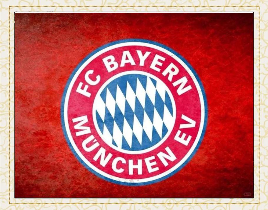 爱游戏网页版入口拜仁新星崭露头角，未来或成球队顶梁柱，出来来源得到.